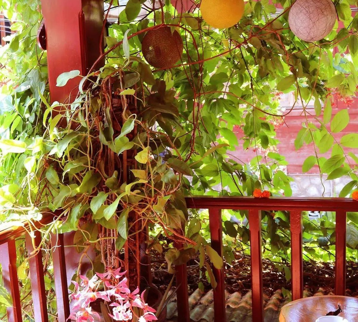 Pensionat Apple Guesthouse Luang Prabang